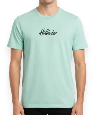 Franela Hollister Verde