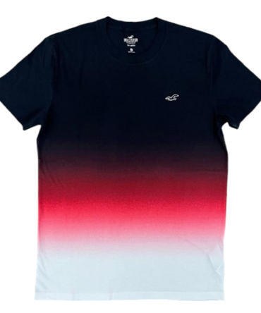 Franela Hollister Multicolor