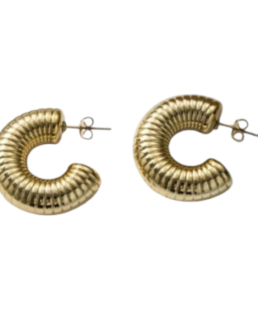 Zarcillos Dorados