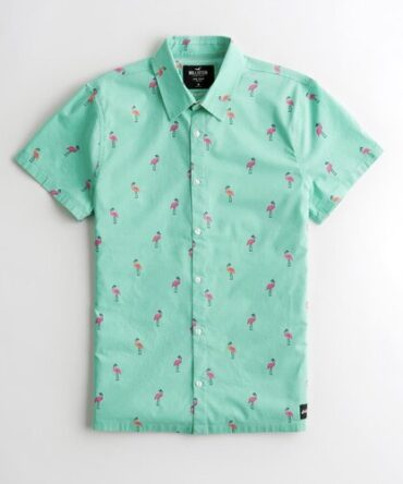 Camisa Hollister Estampada
