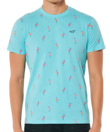 Franela Hollister Azul Estampada