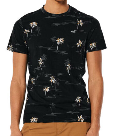 Franela Hollister Estampada