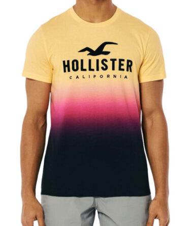 Franela Hollister Degrade
