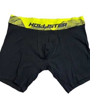 Boxer Hollister