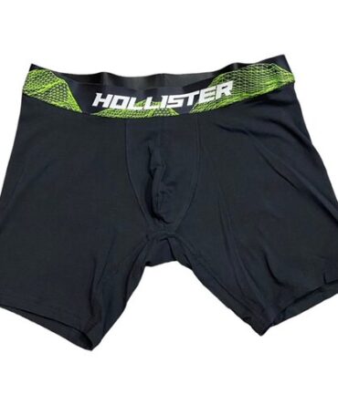 Boxer Hollister