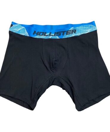 Boxer Hollister