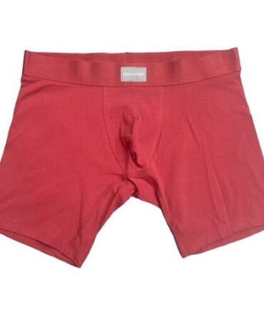 Boxer Hollister